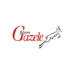 Gazele Biznesu Gazele Biznesu